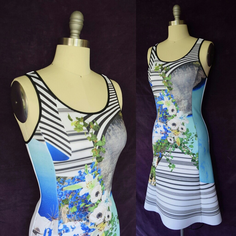 SOLD! Clover Canyon neoprene floral stripe scuba dress